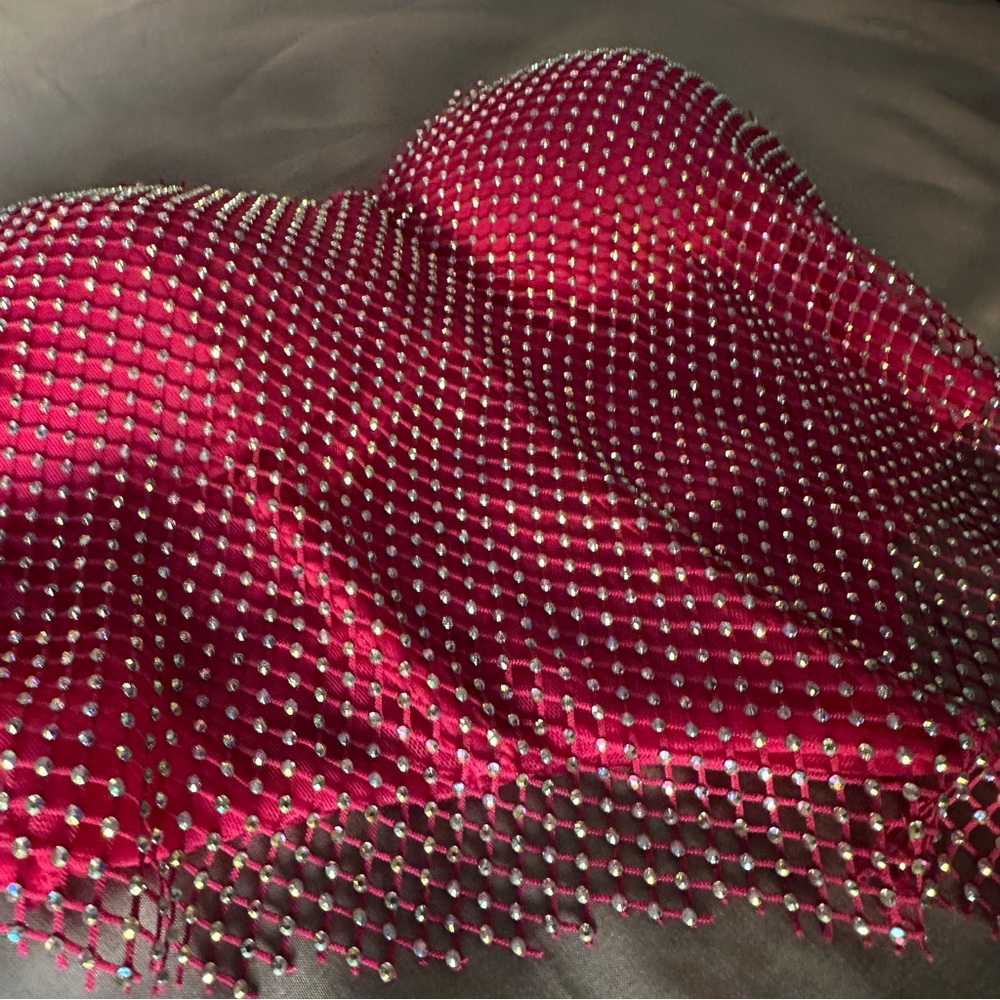 Hot Pink Jeweled Mesh Crop Top